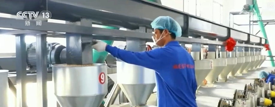 消费、出入境游、冰雪游,热热热!假日氛围拉满 多领域掀热潮释放经济“热”活力