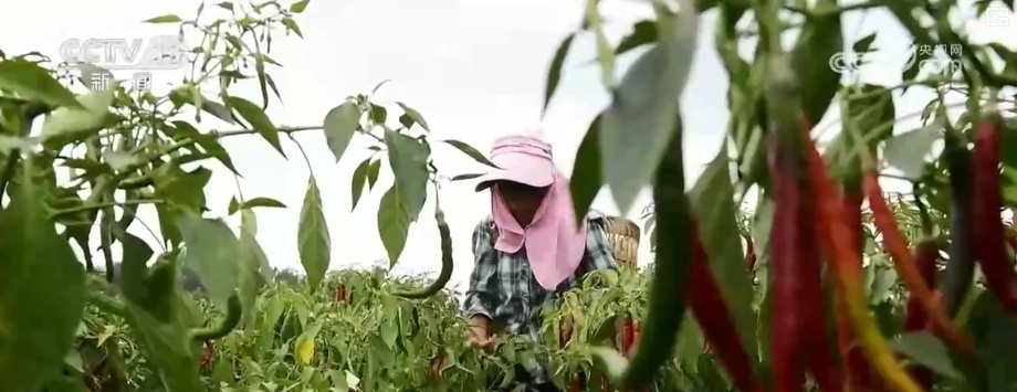 消费、出入境游、冰雪游,热热热!假日氛围拉满 多领域掀热潮释放经济“热”活力