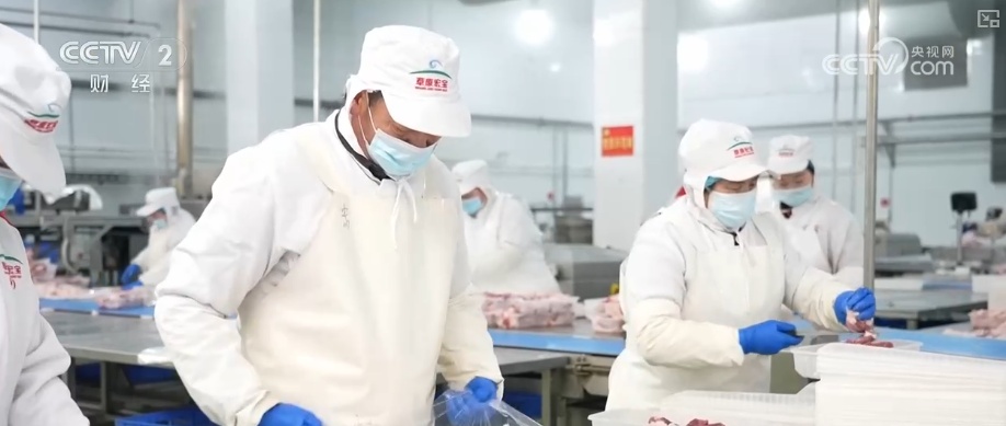 从生态牧场到烟火餐桌浓浓年味传递千家万户 高铁快运助力特色食材“朝发夕至”