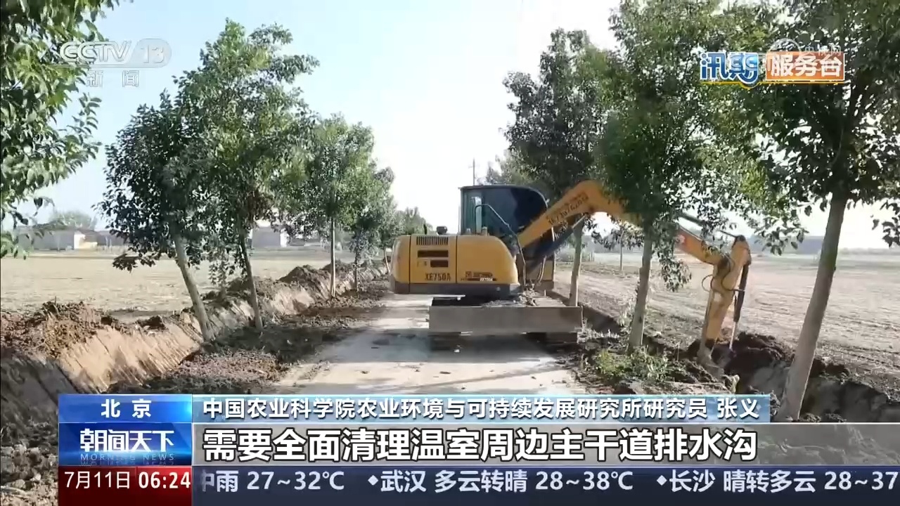 台风来袭,如何最大限度降低农业生产损失?专家提示